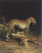 Jacques-Laurent Agasse two leopards playing oil painting on canvas